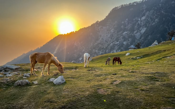 Mountain landscape at golden hour